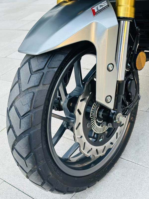 二手三阳剑齿虎 ADXTG