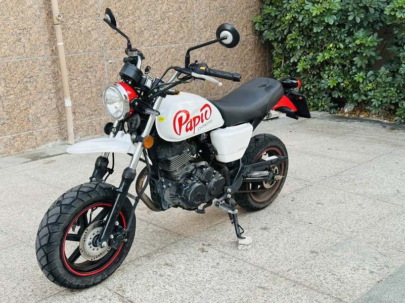 二手春风狒狒经典