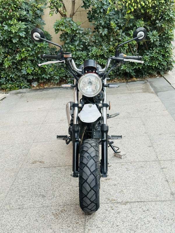 二手春风狒狒经典