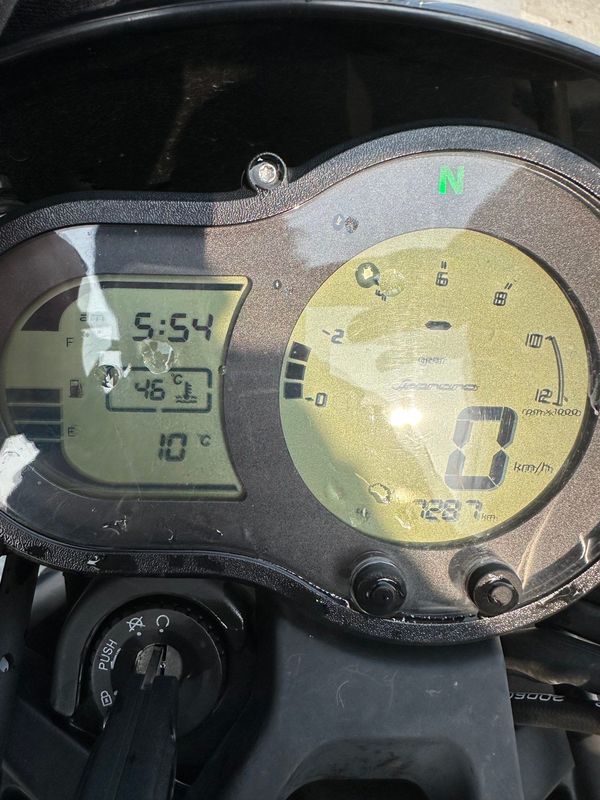 二手贝纳利幼狮 Leoncino 500