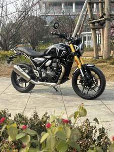 二手凯旋Speed 400