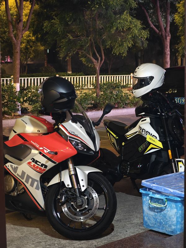 二手春风Papio Nova