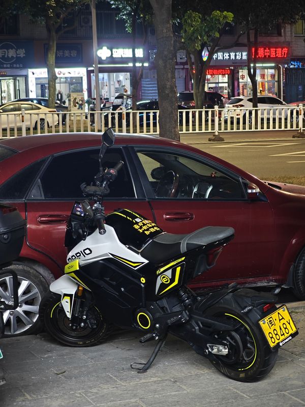 二手春风Papio Nova