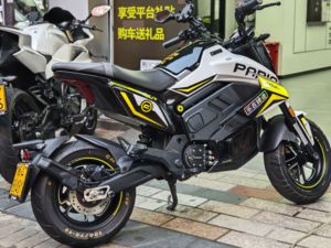 二手春风Papio Nova