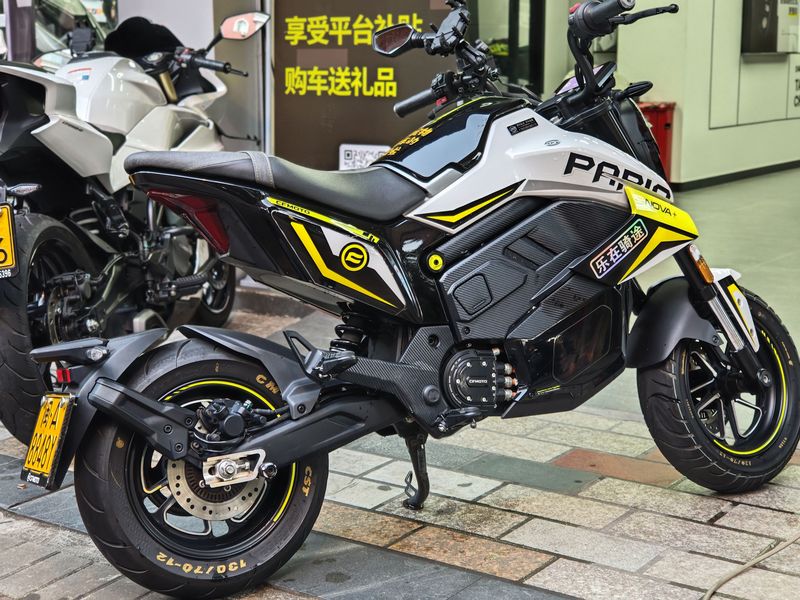 二手春风Papio Nova