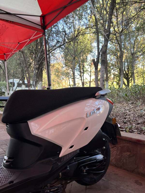 二手济南铃木Let's小海豚