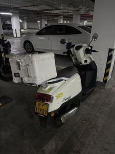 二手古思特菲梦