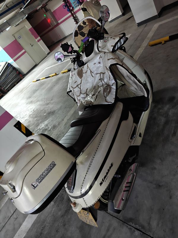 二手南方梦拉丽莎 飞戈