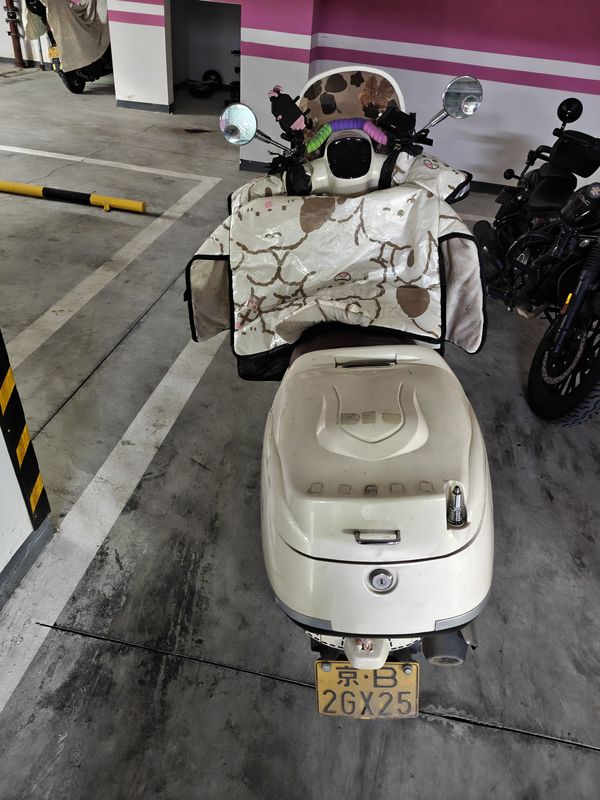 二手南方梦拉丽莎 飞戈