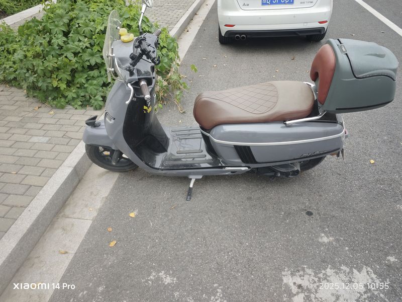 二手南方梦拉丽莎 Melalisa150