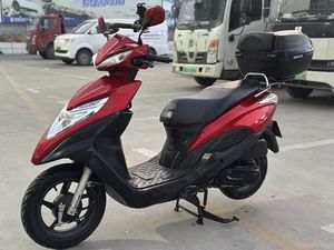 二手新大洲本田NS125T