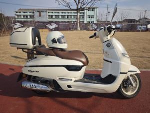 二手南方梦拉丽莎 飞戈