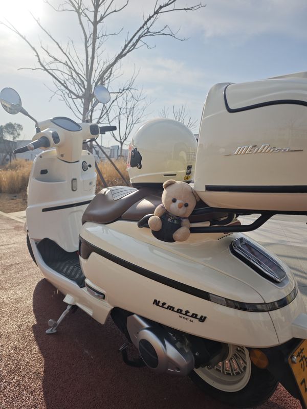 二手南方梦拉丽莎 飞戈