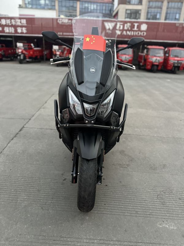 二手三阳Joymax F 300