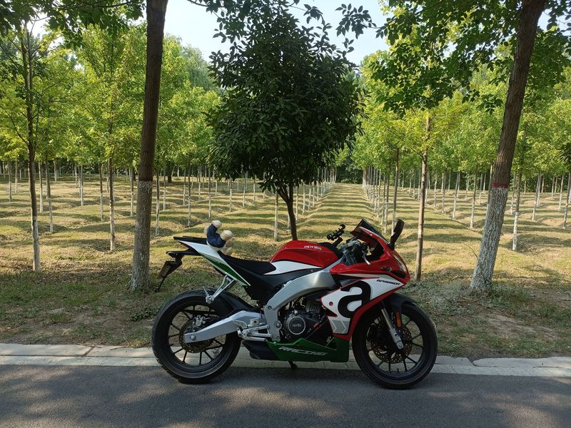 二手宗申阿普利亚GPR250R