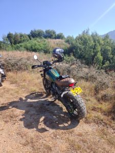 二手杜卡迪Scrambler 800