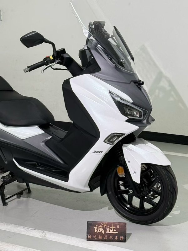 二手三阳Joymax Z 300