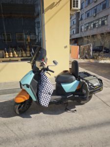 二手三阳小蚂蚁 4MICA