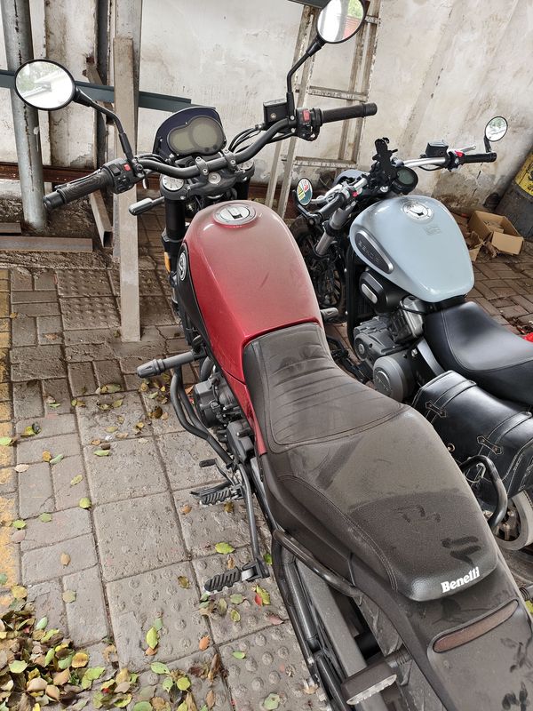 二手贝纳利幼狮 Leoncino 500