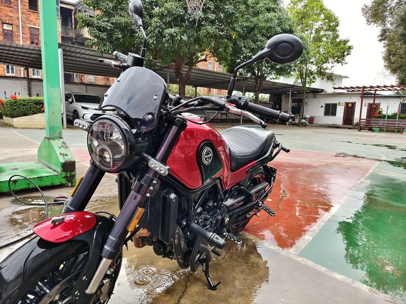 二手贝纳利幼狮 Leoncino 500