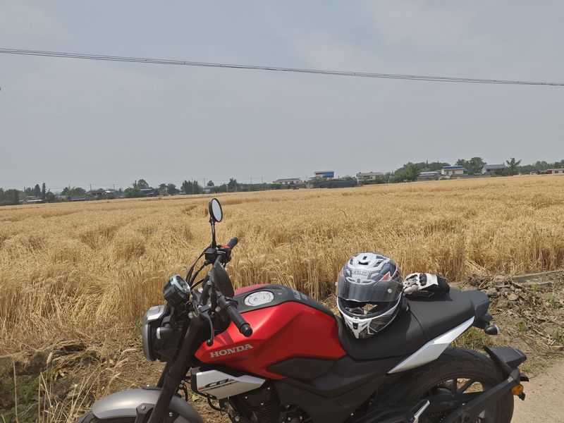 二手新大洲本田CB190TR