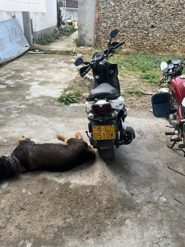 二手三阳小钢侠 CROX