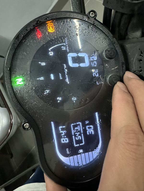 二手贝纳利幼狮 Leoncino 500