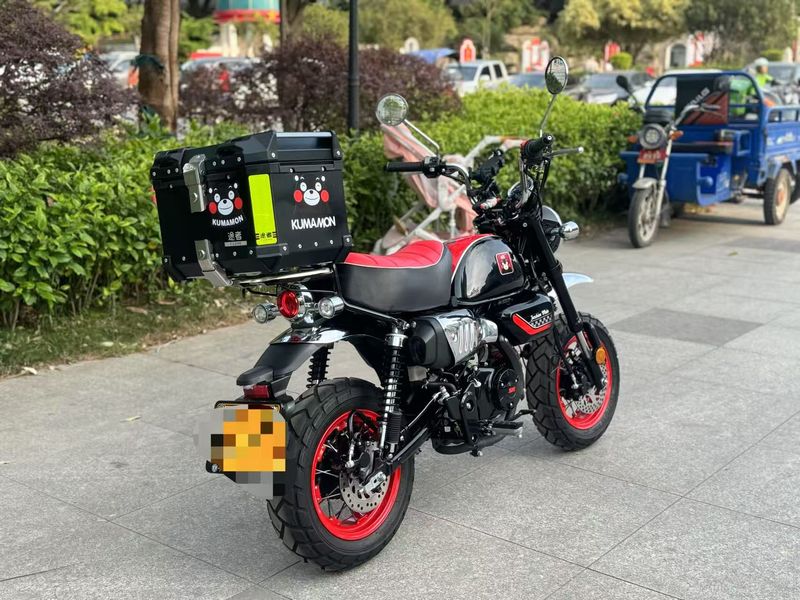 二手斯托纳猿猴