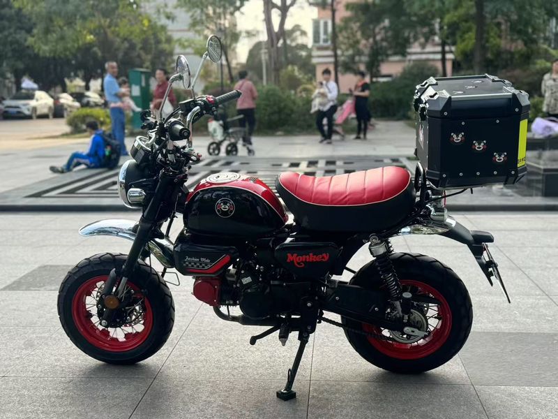 二手斯托纳猿猴