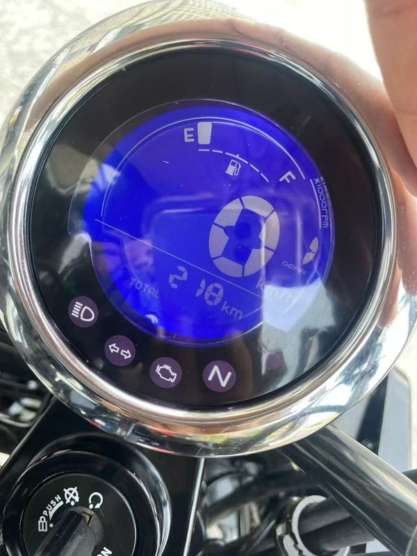 二手斯托纳猿猴