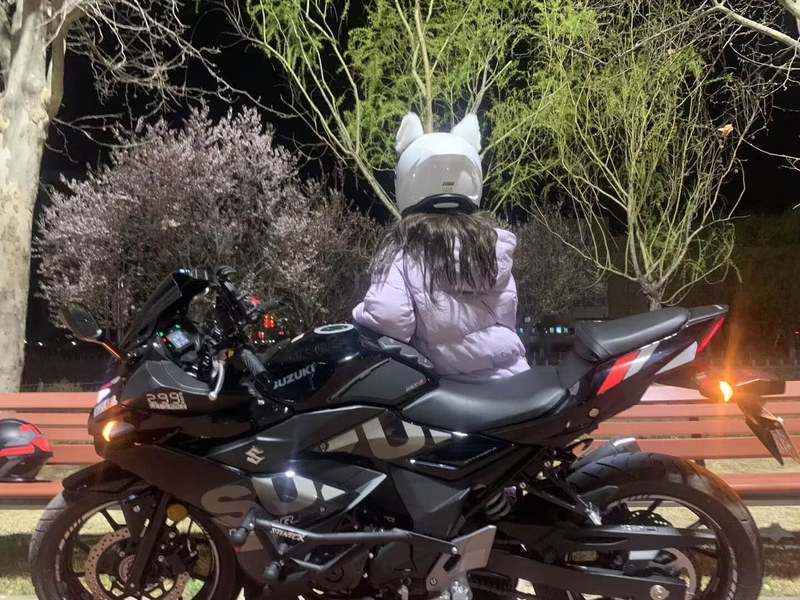 二手豪爵铃木GSX250R