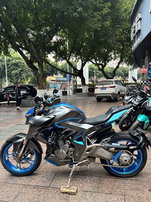 二手升仕310R