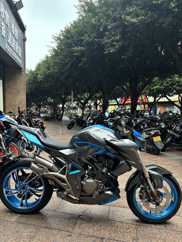 二手升仕310R