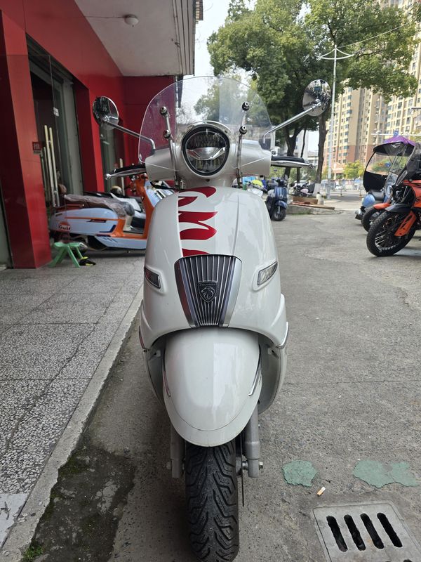 二手标致DJANGO EVO