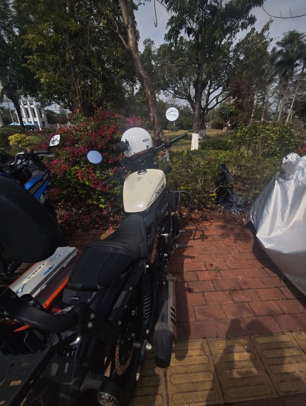 二手赛科龙RA250