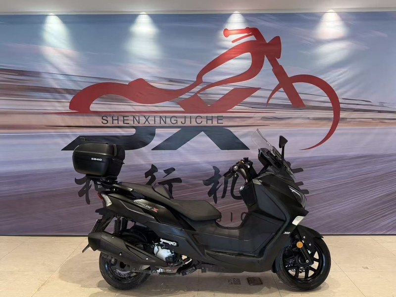 二手三阳Joymax Z 300