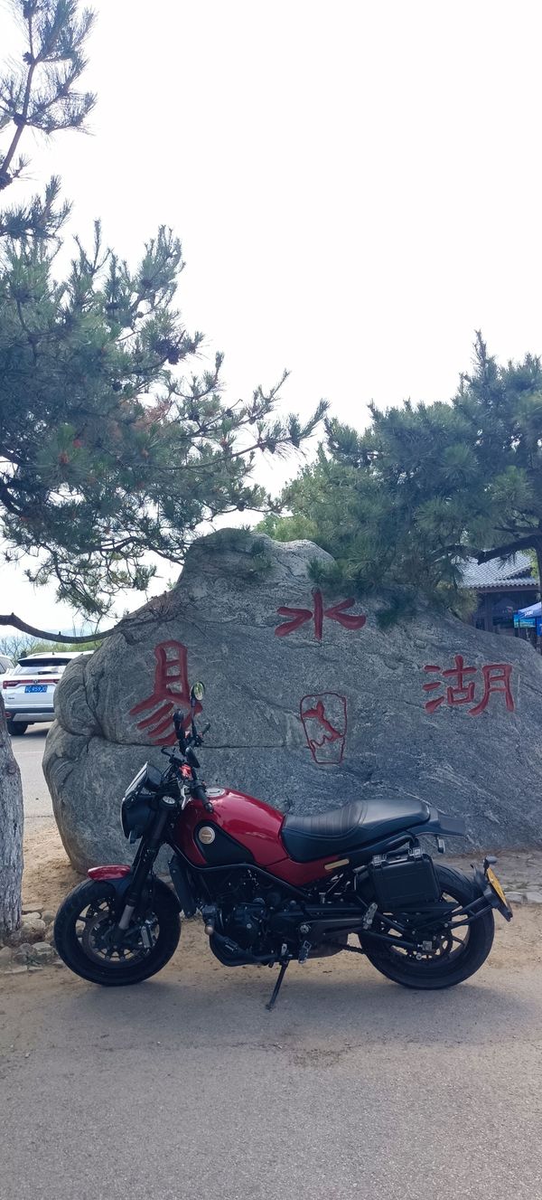 二手贝纳利幼狮 Leoncino 500