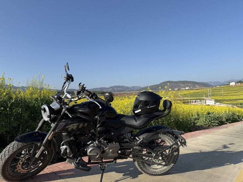 二手赛科龙朋克