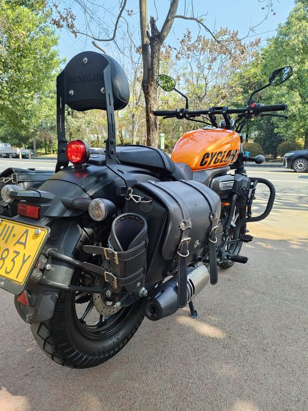 二手赛科龙RA250