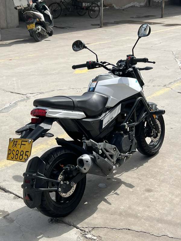 二手春风ST狒狒