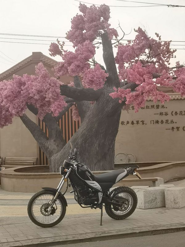 二手黄河魔术师HH250GY