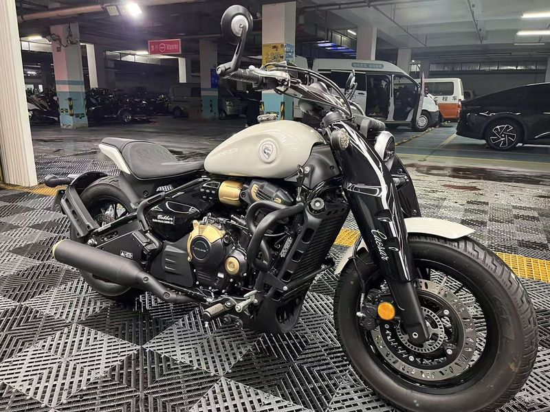 二手赛科龙RA600