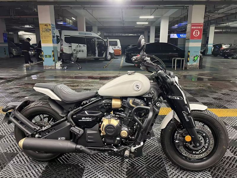 二手赛科龙RA600