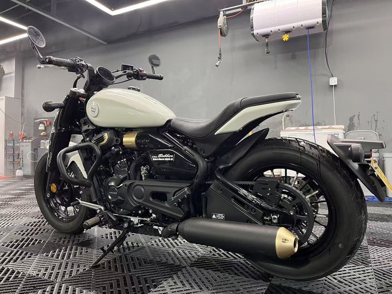 二手赛科龙RA600