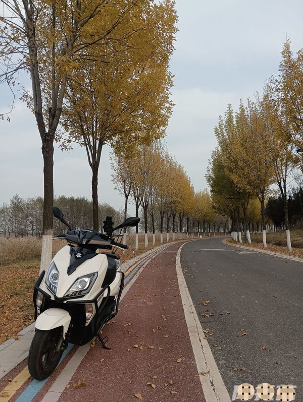 二手济南铃木UY125