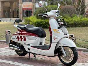 二手南方梦拉丽莎 飞戈