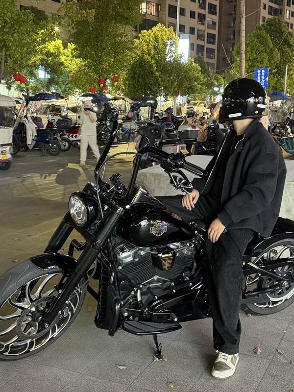 二手哈雷戴维森软尾司令Softail Slim