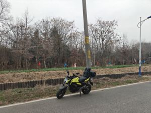 二手春风ST狒狒