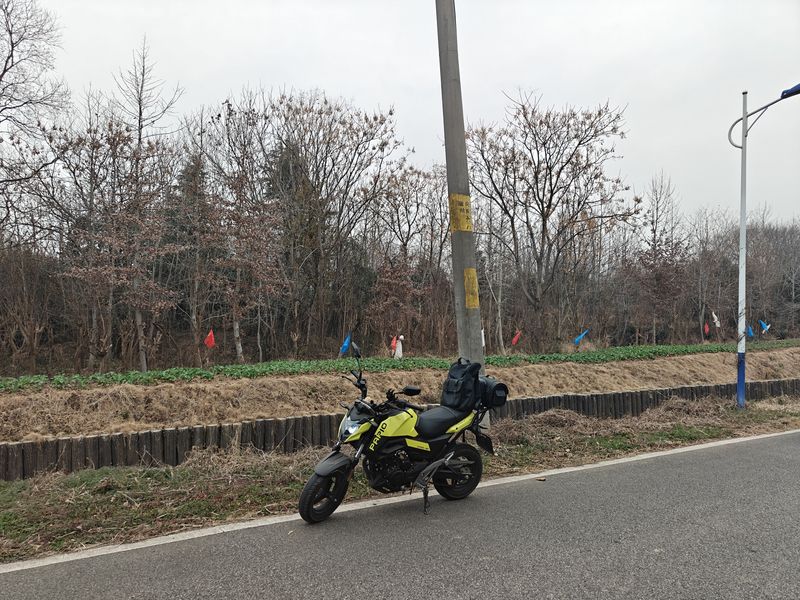 二手春风ST狒狒