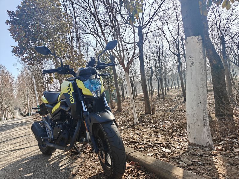 二手春风ST狒狒